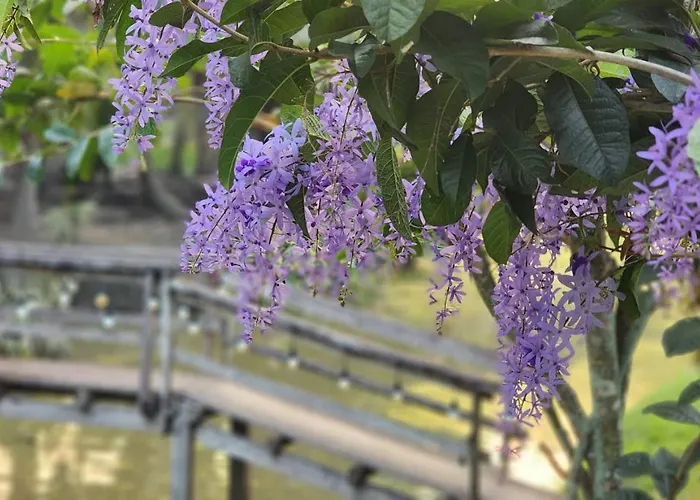 Baan Klong ดำเนินสะดวก